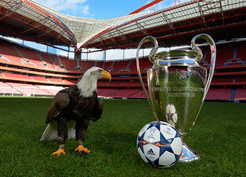 的总量放大 的总量放大